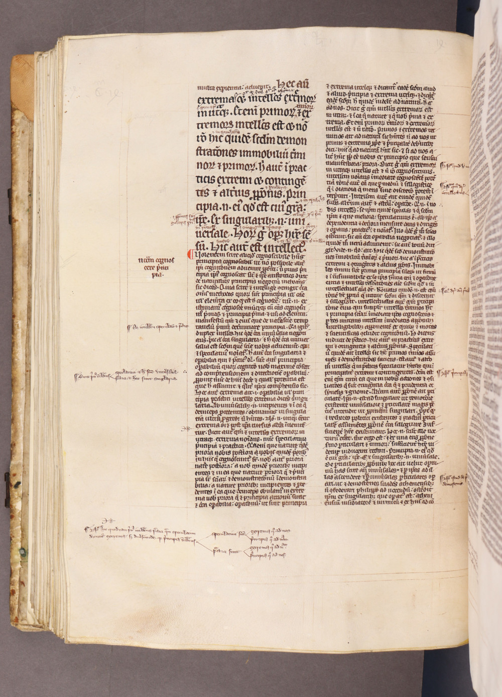 Folio 142 verso